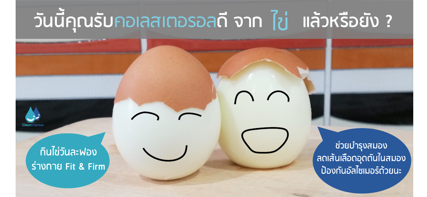 ไข่ แหล่งคอเรสเตอรอลดี ที่ถูกและดี ไข่ แหล่งคอเรสเตอรอลดี ที่ถูกและดี